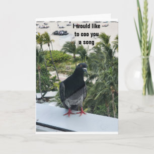 CARTÃO PIDGEON COZINHANDO * FELIZ ANIVERSÁRIO* PARA VOCÊ!