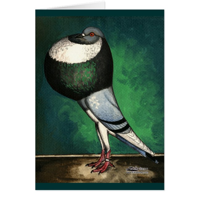 Cartão Pied azul do cultivador de Norwich (Frente)