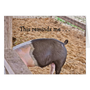 CARTÃO PIG APROVEITANDO UMA REFEIÇÃO /LEMBRA-ME QUE O VAM