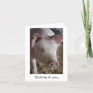 Cartão Pig Thinking of You Card