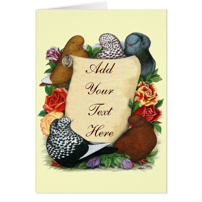 Cartão Pigeon Scroll (Frente)