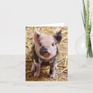 Cartão Piglet