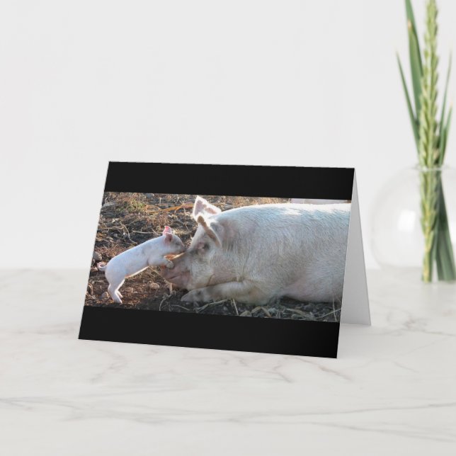 Cartão Piglet Kissing (Frente)