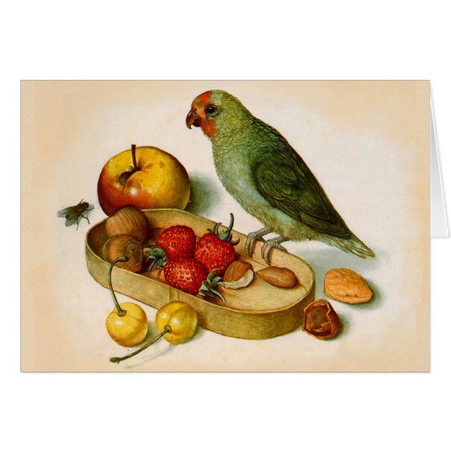Cartão Pigmy Parrot com Fruta e Loucos (Frente Horizontal)