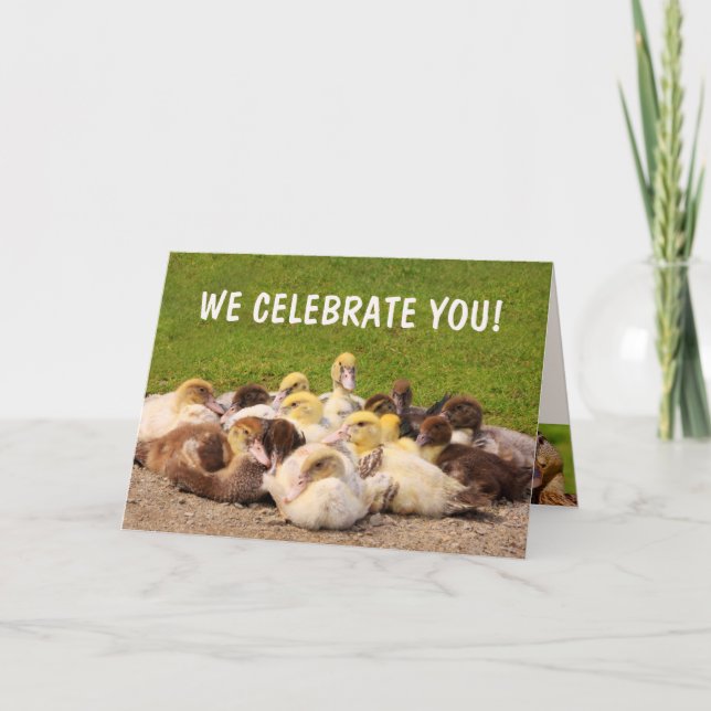 Cartão Pile O' Ducks Aniversário (Frente)