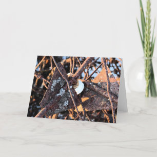 Cartão Pilha de Lixo e Fungos Ainda vivem