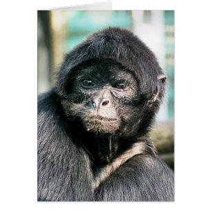 CARTÃO PILHA NEGRA CUTA