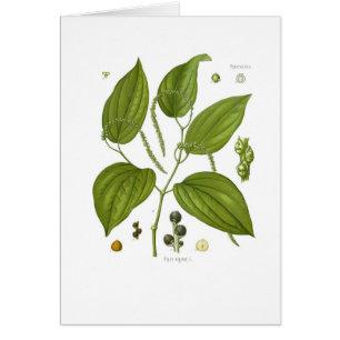 Cartão Pimenta preta