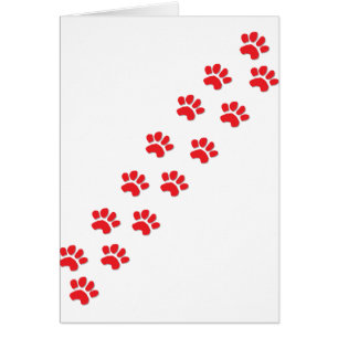 Cartão Pinças de Gato de Gato