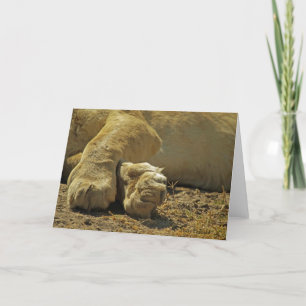 Cartão Pinças de leão