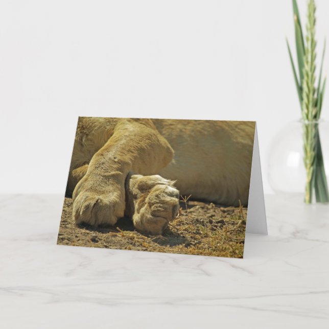 Cartão Pinças de leão (Frente)