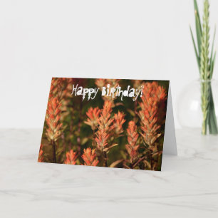 Cartão Pincel indiano; Feliz aniversário