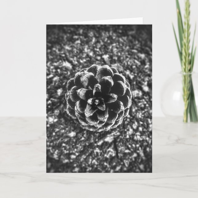 Cartão Pine Cone (Frente)