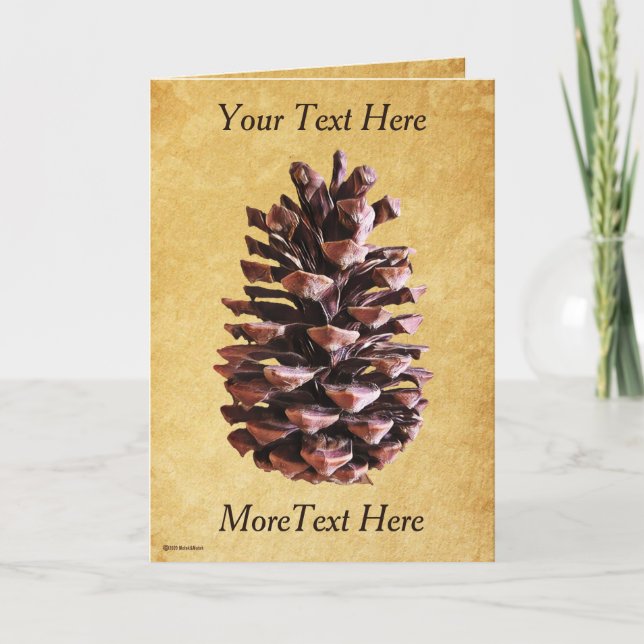 Cartão Pine Cone Em Papel Vintage (Frente)