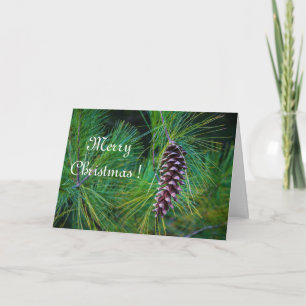 Cartão Pine Cone Holiday