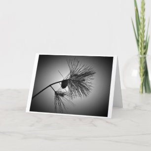 Cartão Pine Cone On Branch - Noir, Card