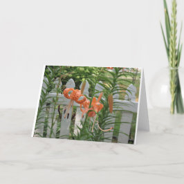 Cartão Pine Lake Lily