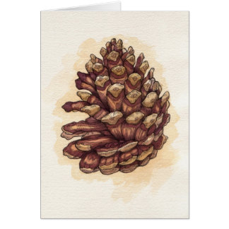 Cartão Pinecone