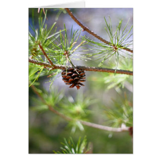 Cartão Pinecone - Vazio