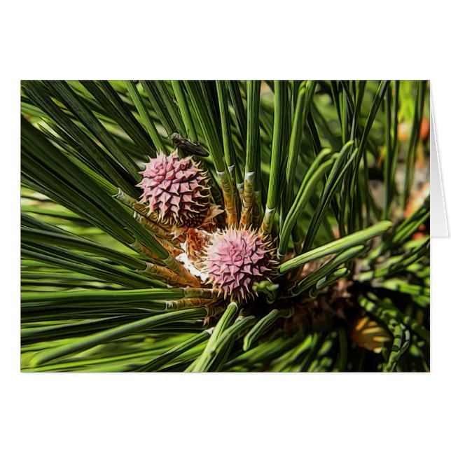 Cartão Pineflower (Frente Horizontal)