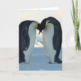 Cartão Pinguim