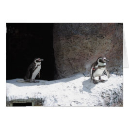 Cartão Pinguim