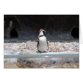 Cartão Pinguim