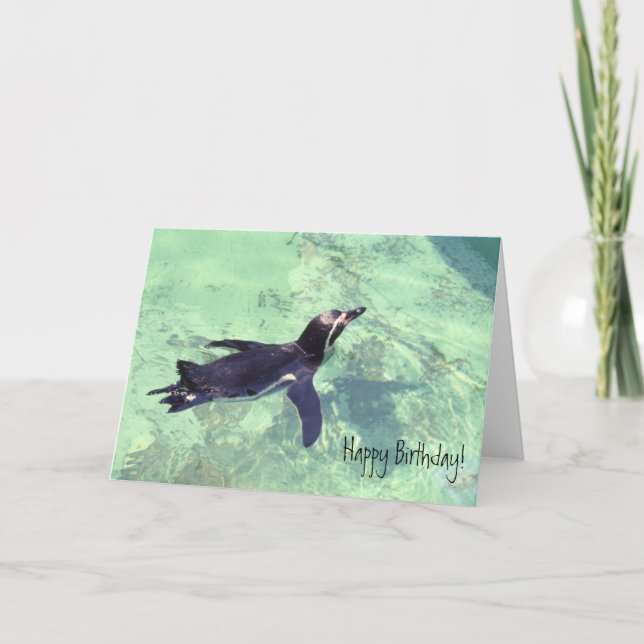 Cartão Pinguim (Frente)