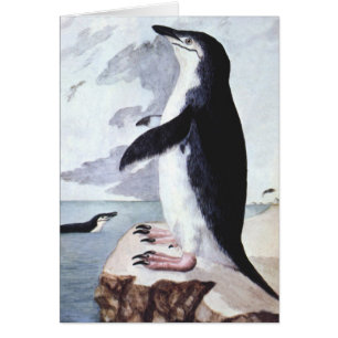 Cartão Pinguim de Chinstrap do vintage, pássaros da