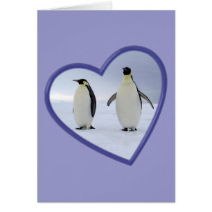 Cartão Pinguim de imperador