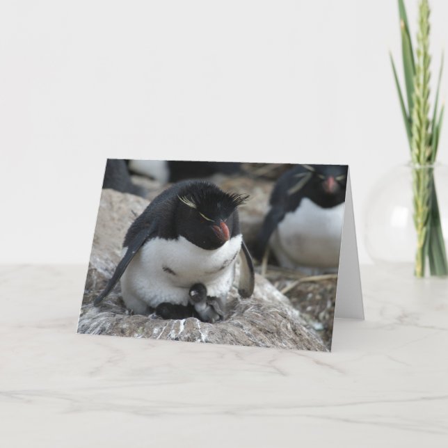 Cartão Pinguim de Rockhopper com pintinhos (Frente)