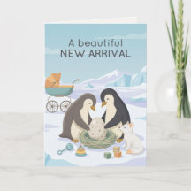 Pinguim Fofo Novo Bebê | Belo Novo Bebê