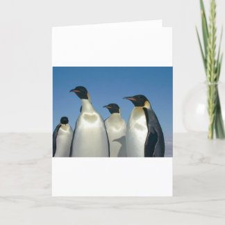 CARTÃO PINGUINS