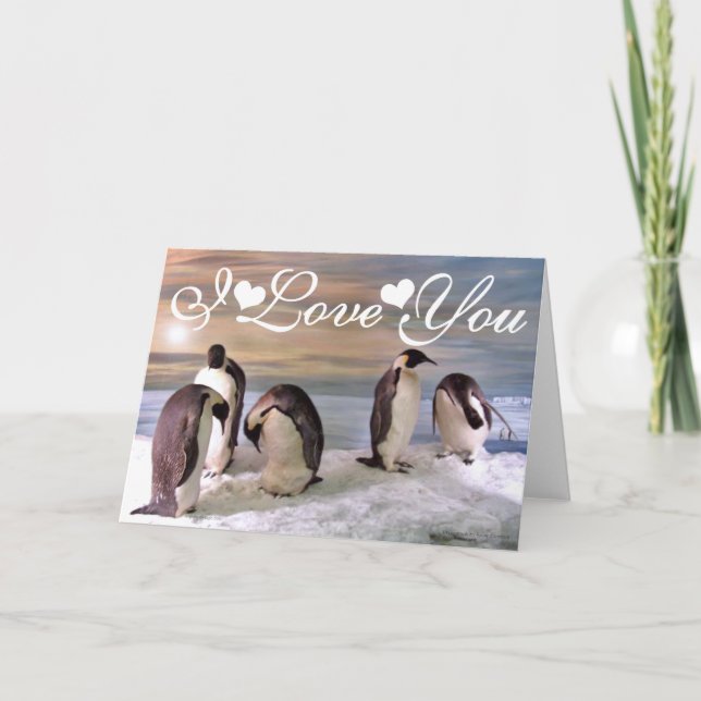 Cartão Pinguins-reis Foto Imagem Eu Te Amo (Frente)