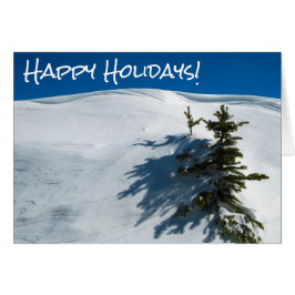 Cartão Pinheira-de-neve