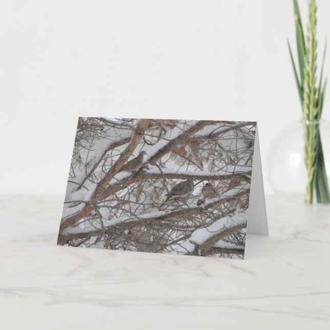 Cartão Pinheiros Neves (Frente)