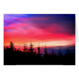 Cartão Pinheiros Sob O Pôr Do Sol De Oregon