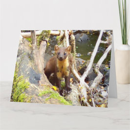 Cartão Pinho Marten Cinto na Árvore Invertida