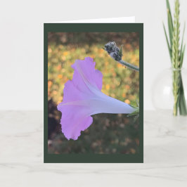 Cartão Pink and Gold Sparkle Morning Glory Blank 