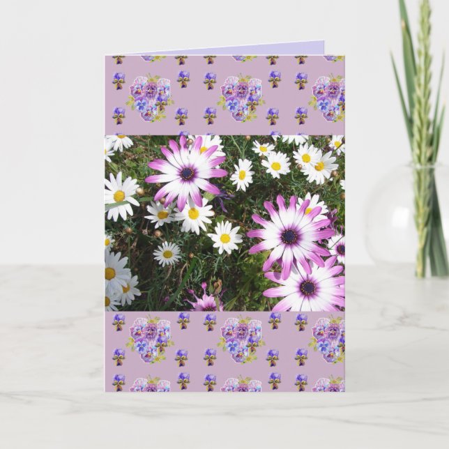 Cartão Pink and White Daisy Flower Floral Photo art Card (Frente)