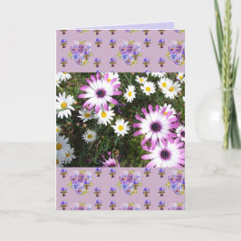 Cartão Pink and White Daisy Flower Floral Photo art Card