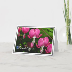 Cartão Pink Bleeding Heart Photograph Blank Note Cards