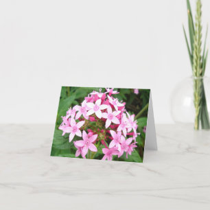 Cartão Pink bouquet v2