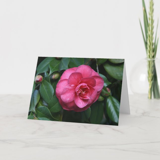 Cartão "Pink Camellia # 1" (Frente)