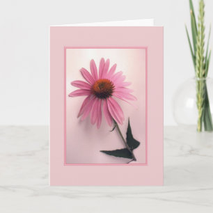 Cartão Pink Coneflower Greeting Card