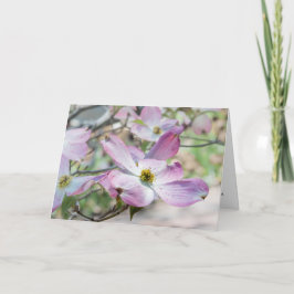 Cartão Pink Dogwood Blossoms Christian Note Card 
