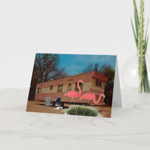 Cartão Pink Flamingos