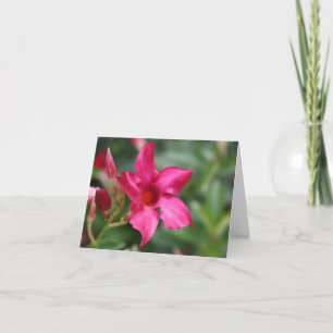Cartão Pink flower floral note card