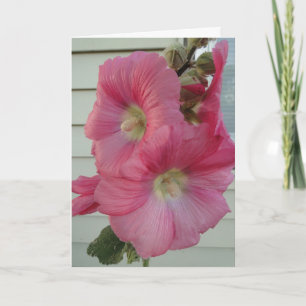 Cartão Pink Hollyhock, Birthday Beautiful Lady