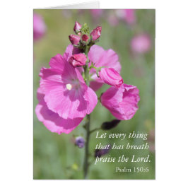 Cartão Pink Hollyhock Prise